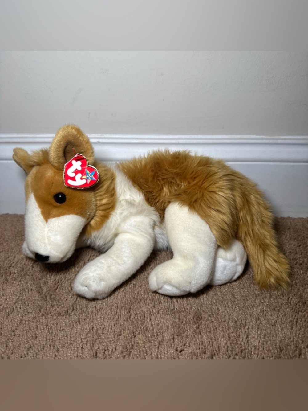 TY Cassie the Collie Dog 12" Plush Beanie Buddy 2001 with Tag